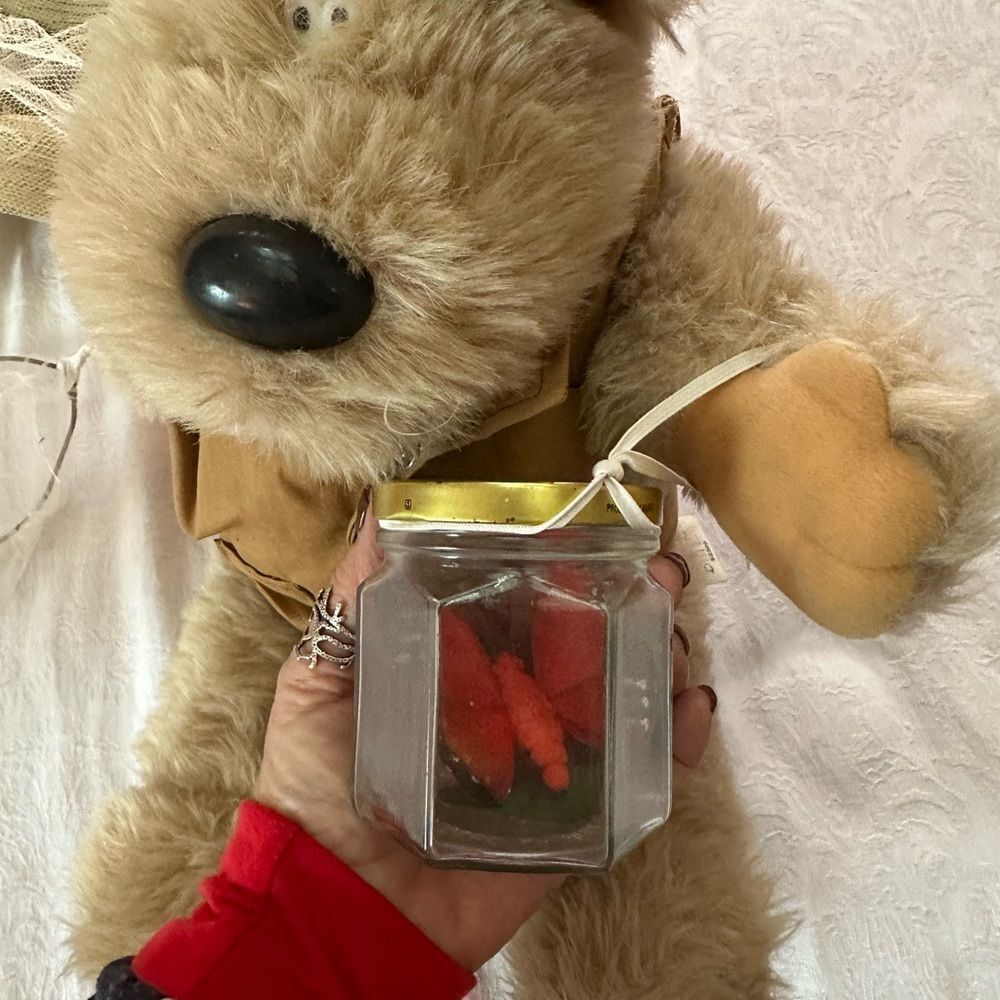 Plush Bear with Hat and Vest Butterfly Collector Bees Vintage - Picture 4 of 11